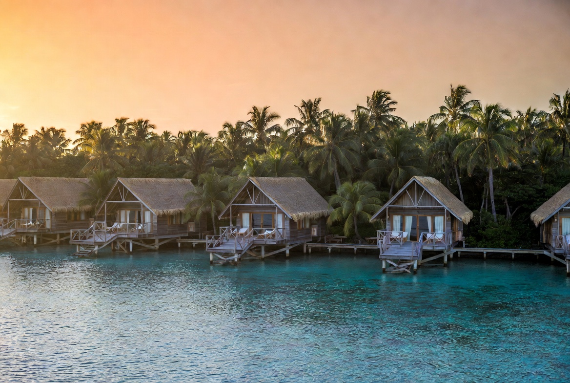 Gallery Image Bottom