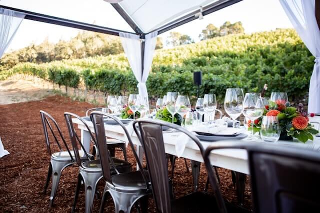 Experience or event Vineyard 1