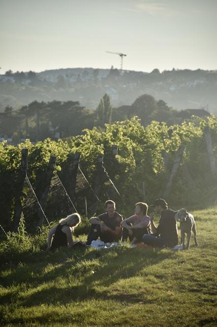 Experience at Vineyard 3